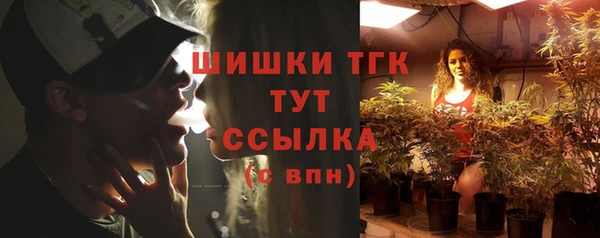 гидра Алзамай