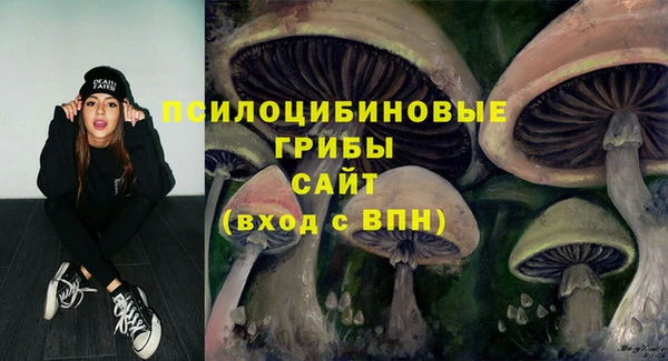 стаф Протвино